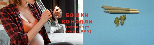 Альфа ПВП Новозыбков