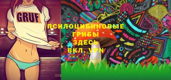 Альфа ПВП Новозыбков