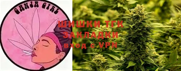 Альфа ПВП Новозыбков