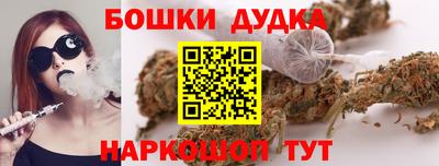 Альфа ПВП Дубна