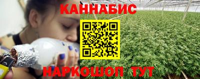 Альфа ПВП Дубна