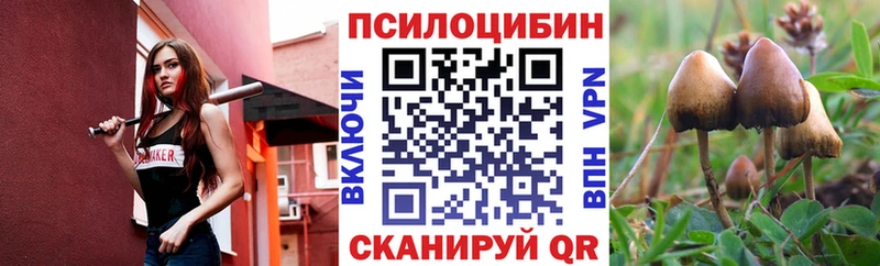 Галлюциногенные грибы Psilocybe Петровск