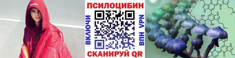 купить наркоту  МЕГА онион  Псилоцибиновые грибы Psilocybe  Петровск 