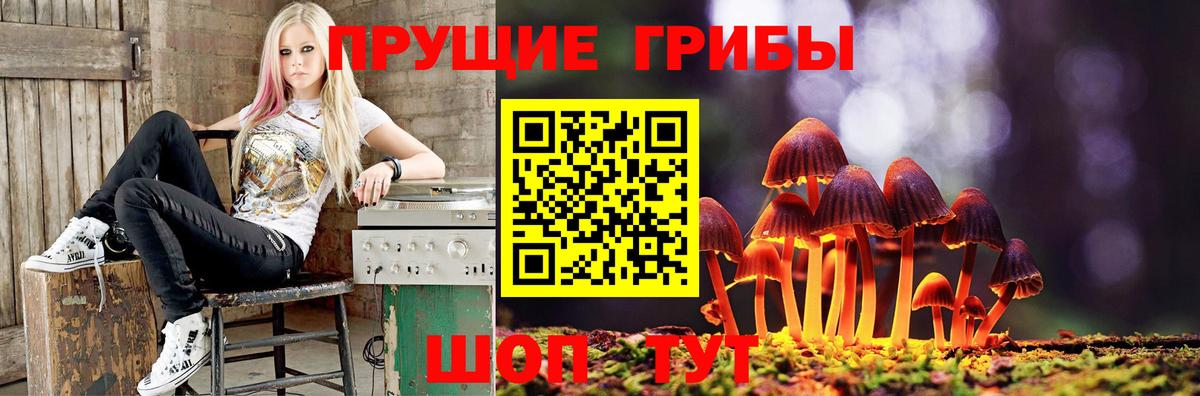 COCAIN  Каннабис  Петровск  ГАШ  Мефедрон   Вход с VPN 