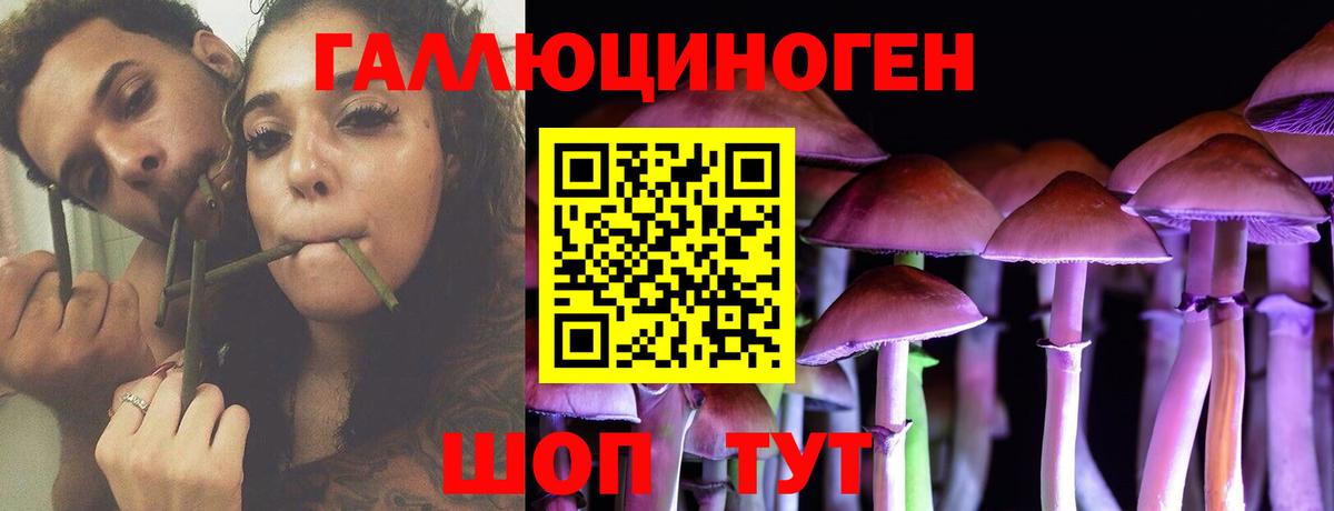 Петровск  где найти наркотики  Вход с VPN  Псилоцибиновые грибы GOLDEN TEACHER 